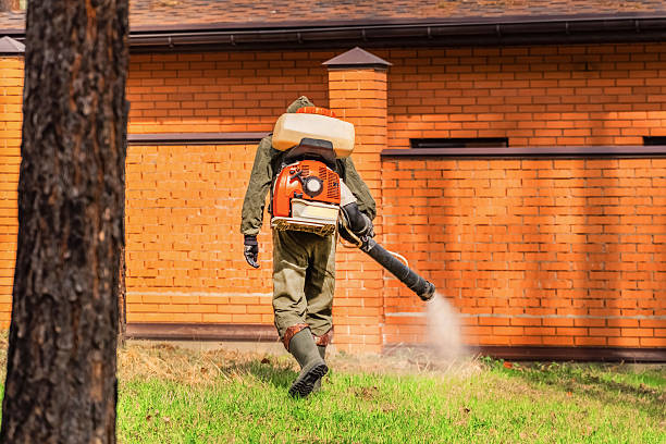 Trusted Ant Control service in Guerneville, CA - Nex Pest Control